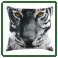 Safari Print Cushions