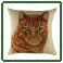 Cat Print Cushions